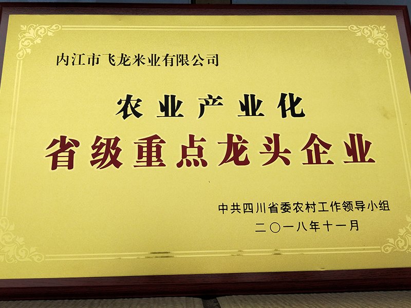 要闻速览