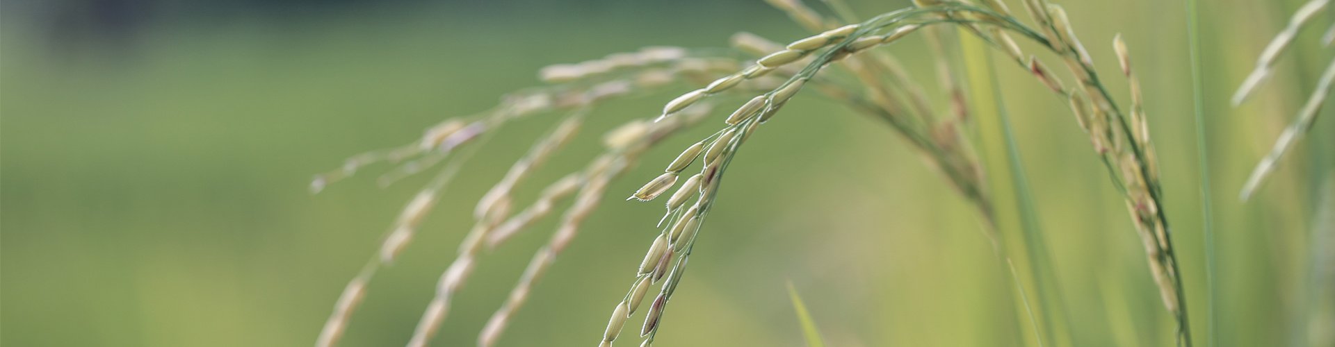 世界杯网页世界杯竞猜官方网站最新版下