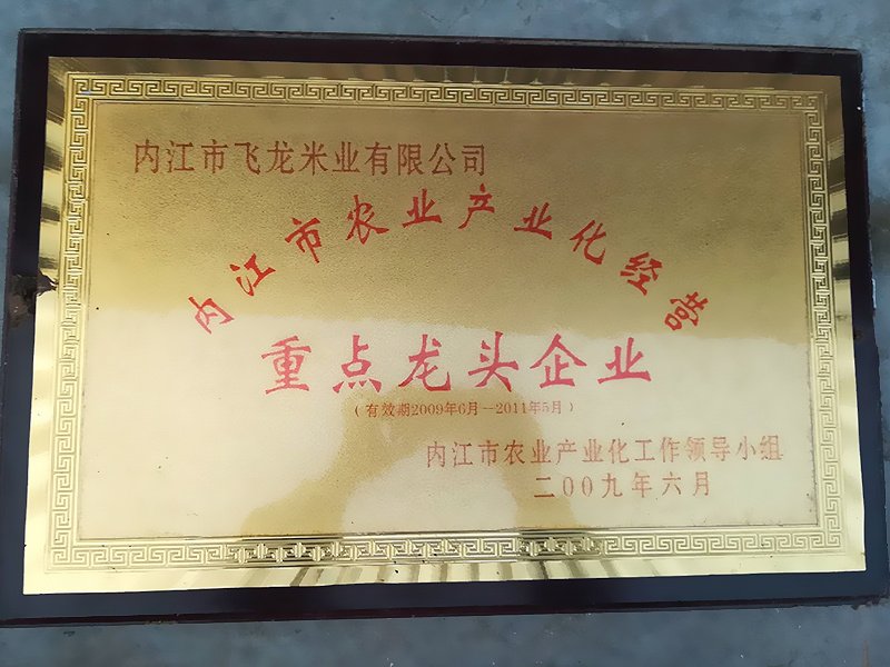 领导致辞